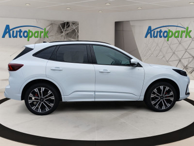 Ford Kuga Vorführwagen