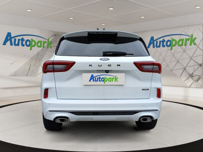 Ford Kuga Vorführwagen