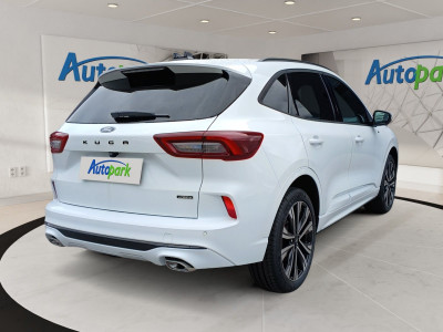 Ford Kuga Vorführwagen