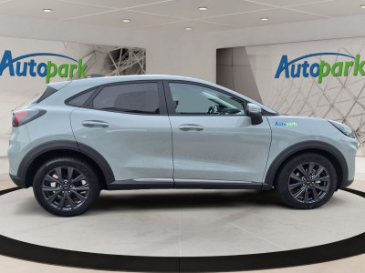 Ford Puma Vorführwagen