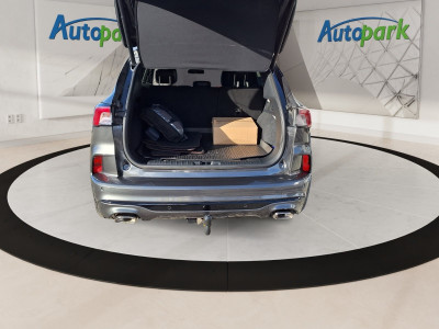 Ford Kuga Gebrauchtwagen Ford Kuga Gebrauchtwagen