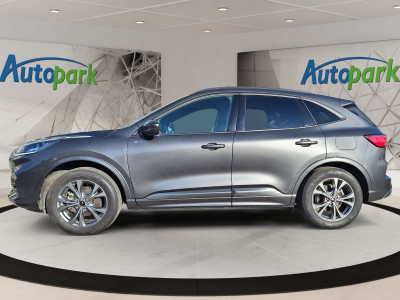 Ford Kuga Gebrauchtwagen Ford Kuga Gebrauchtwagen