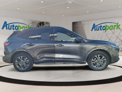Ford Kuga Gebrauchtwagen Ford Kuga Gebrauchtwagen