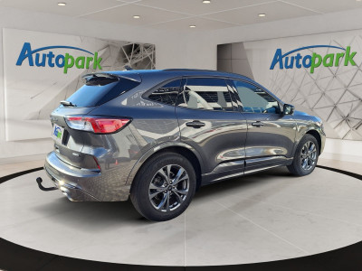 Ford Kuga Gebrauchtwagen Ford Kuga Gebrauchtwagen