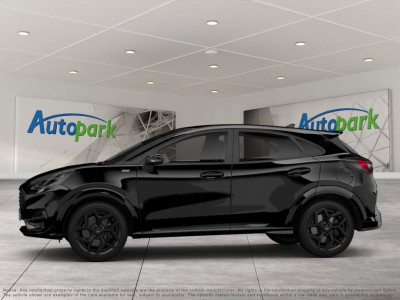 Ford Puma Gebrauchtwagen Ford Puma Gebrauchtwagen