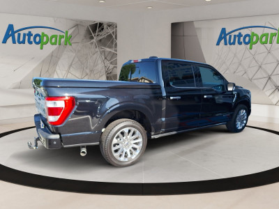 Ford F-150/F-250 Neuwagen Ford F-150/F-250 Neuwagen