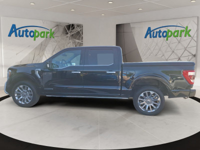 Ford F-150/F-250 Neuwagen Ford F-150/F-250 Neuwagen