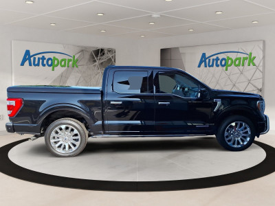 Ford F-150/F-250 Neuwagen Ford F-150/F-250 Neuwagen