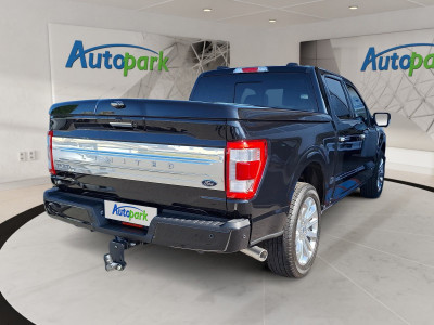 Ford F-150/F-250 Neuwagen Ford F-150/F-250 Neuwagen