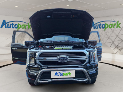 Ford F-150/F-250 Neuwagen Ford F-150/F-250 Neuwagen