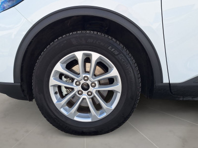 Ford Kuga Gebrauchtwagen Ford Kuga Gebrauchtwagen