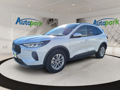 Ford Kuga Gebrauchtwagen Ford Kuga Gebrauchtwagen