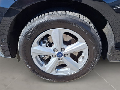 Ford Edge Gebrauchtwagen