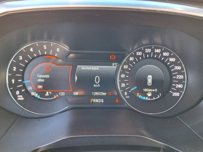 Ford Edge Gebrauchtwagen