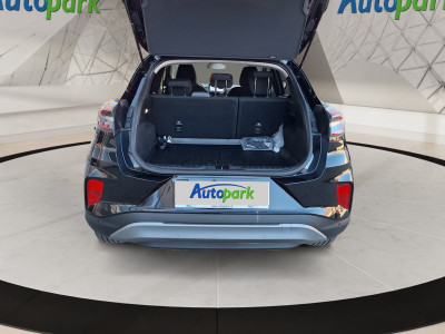 Ford Puma Gebrauchtwagen Ford Puma Gebrauchtwagen