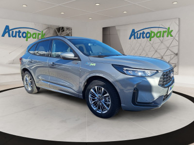 Ford Kuga Vorführwagen Ford Kuga Vorführwagen