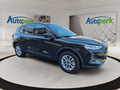 Ford Kuga Gebrauchtwagen Ford Kuga Gebrauchtwagen