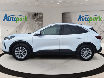 Ford Kuga Gebrauchtwagen Ford Kuga Gebrauchtwagen