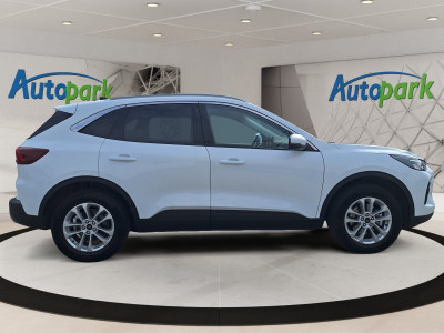 Ford Kuga Gebrauchtwagen Ford Kuga Gebrauchtwagen