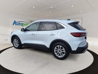 Ford Kuga Gebrauchtwagen Ford Kuga Gebrauchtwagen