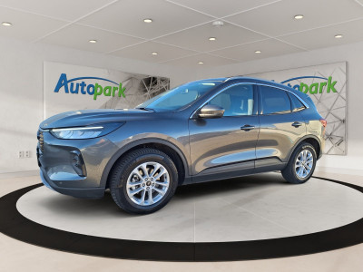 Ford Kuga Gebrauchtwagen Ford Kuga Gebrauchtwagen