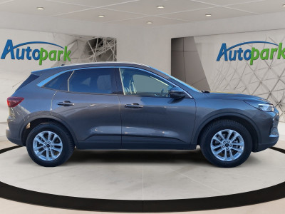 Ford Kuga Gebrauchtwagen Ford Kuga Gebrauchtwagen