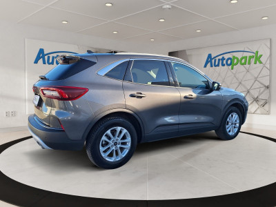 Ford Kuga Gebrauchtwagen Ford Kuga Gebrauchtwagen