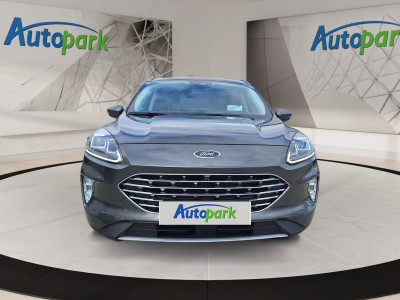 Ford Kuga Gebrauchtwagen