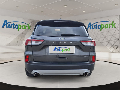 Ford Kuga Gebrauchtwagen