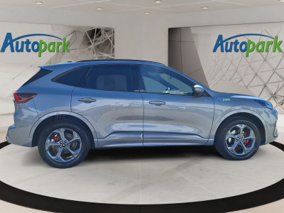 Ford Kuga Vorführwagen Ford Kuga Vorführwagen