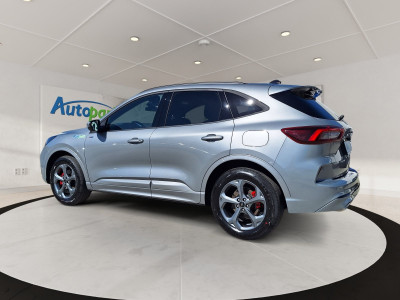 Ford Kuga Vorführwagen Ford Kuga Vorführwagen