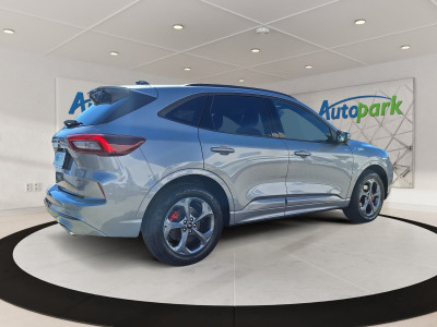 Ford Kuga Vorführwagen Ford Kuga Vorführwagen