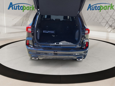 Ford Kuga Vorführwagen Ford Kuga Vorführwagen