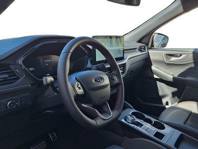 Ford Kuga Vorführwagen Ford Kuga Vorführwagen