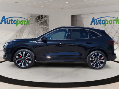 Ford Kuga Vorführwagen Ford Kuga Vorführwagen