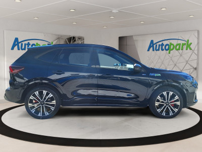 Ford Kuga Vorführwagen Ford Kuga Vorführwagen