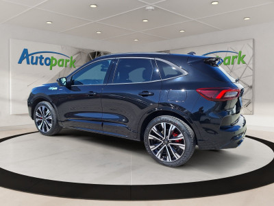 Ford Kuga Vorführwagen Ford Kuga Vorführwagen