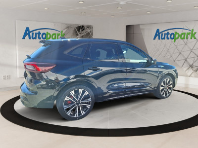 Ford Kuga Vorführwagen Ford Kuga Vorführwagen