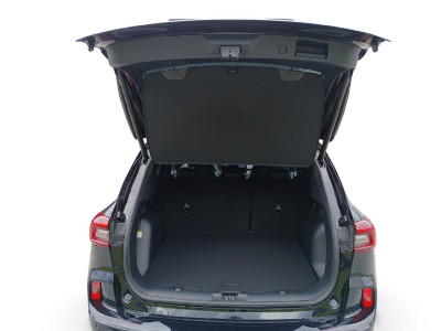 Ford Kuga Vorführwagen