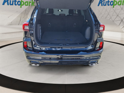 Ford Kuga Vorführwagen