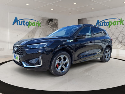 Ford Kuga Vorführwagen