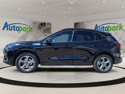 Ford Kuga Vorführwagen