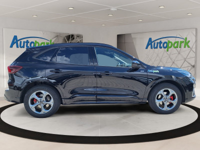 Ford Kuga Vorführwagen