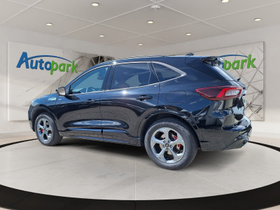 Ford Kuga Vorführwagen