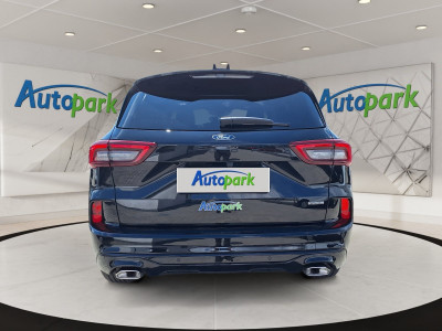 Ford Kuga Vorführwagen