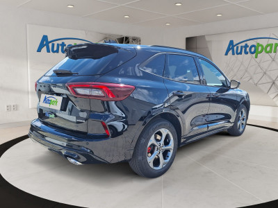 Ford Kuga Vorführwagen