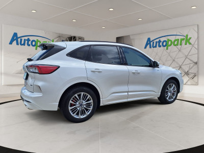 Ford Kuga Gebrauchtwagen
