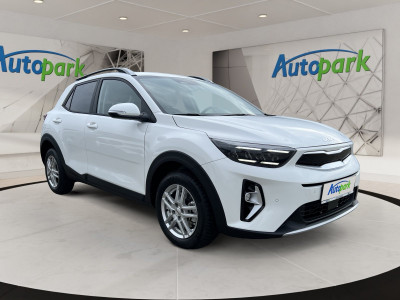 KIA Stonic Gebrauchtwagen KIA Stonic Gebrauchtwagen