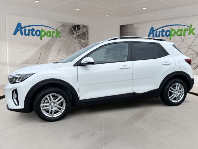 KIA Stonic Gebrauchtwagen KIA Stonic Gebrauchtwagen
