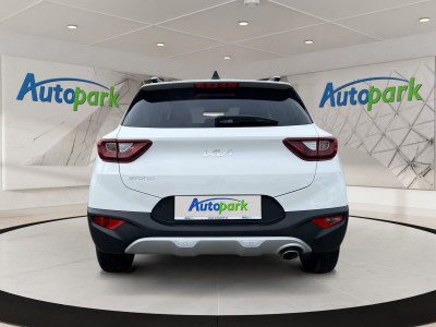 KIA Stonic Gebrauchtwagen KIA Stonic Gebrauchtwagen